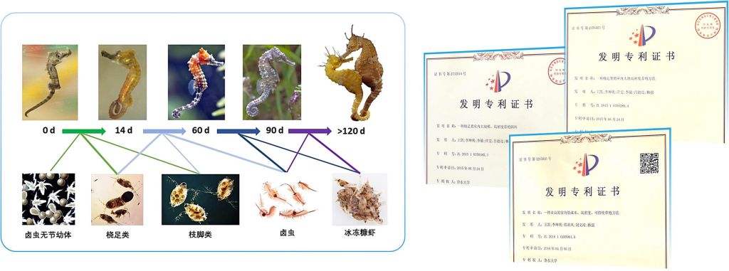 乐乐捕鱼王凯教授团队荣获2026年度山东省技术市场协会科技金桥奖